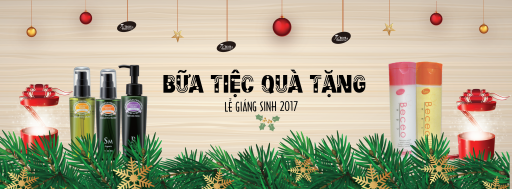 Banner Fb 01 1512787455