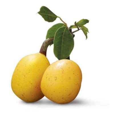 5 Lý Do để Lựa Chọn Sản Phẩm Chiết Xuất Hữu Cơ 5